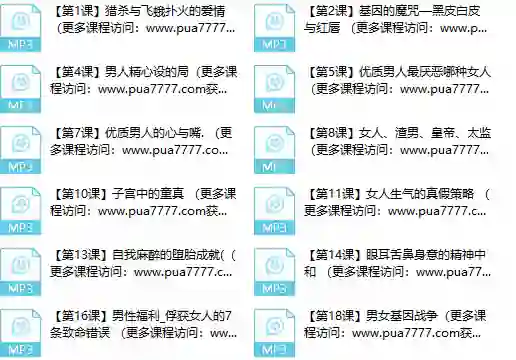 图片[1]-甄琦学长《成功男人的情感刚需》-心语情感库