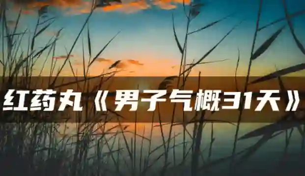 红色药丸《男子气概31天》-心语情感库