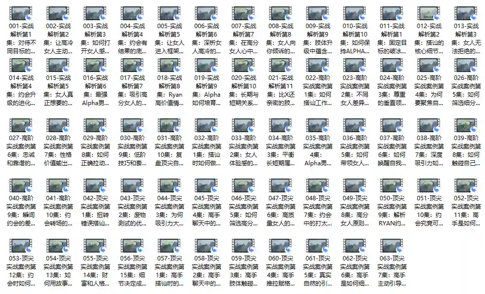 价值12800 瑞恩自然之道plus【完结】-心语情感库