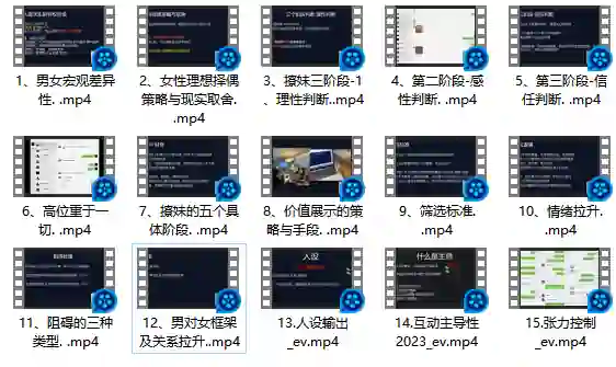 Leon情感5.0-心语情感库