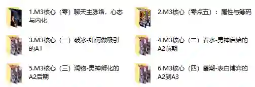 黑猫《谜男M3核心课程》附案例-心语情感库