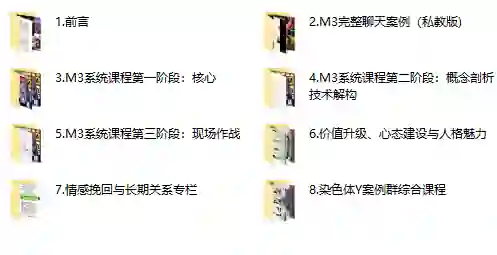 黑猫《终身制M3系统私教内部课程》-心语情感库