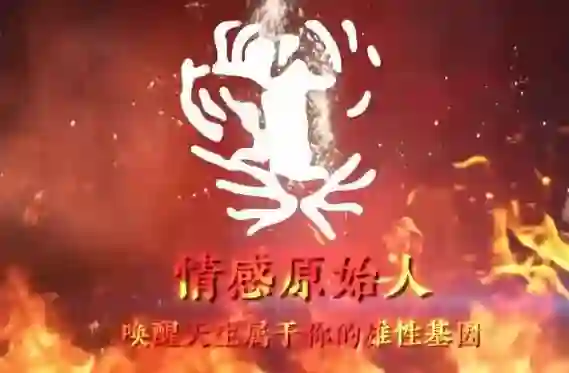 火种情感《情感原始人》-心语情感库